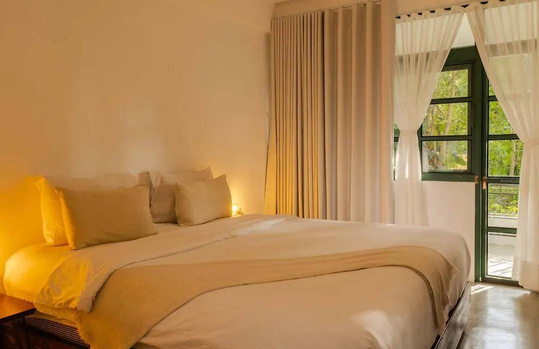 Big Tree Boutique Hotel-1